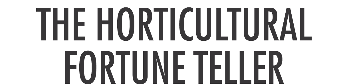 The Horticultural Fortune Teller 