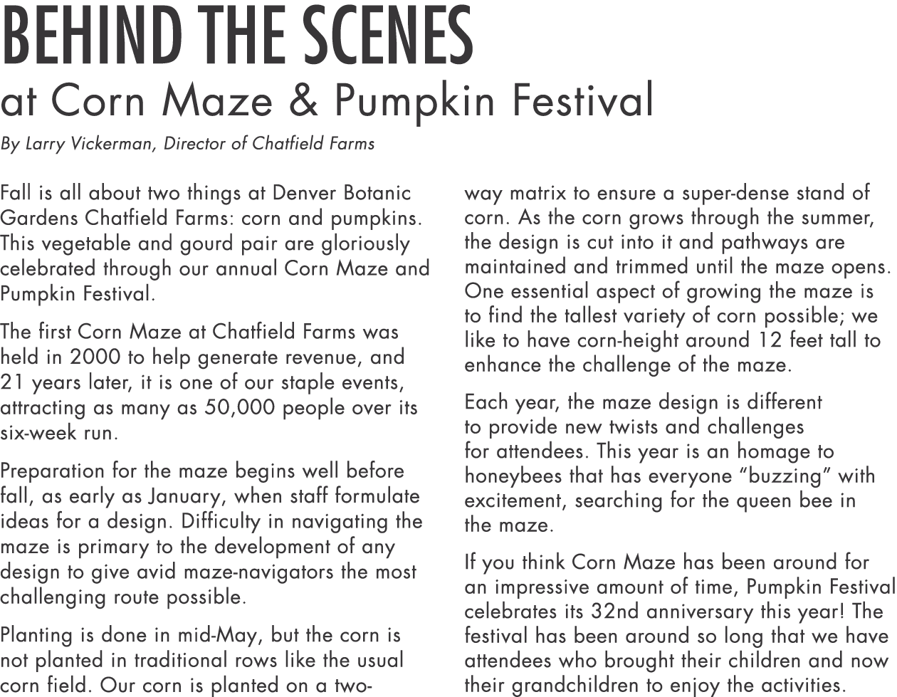 Behind the Scenes at Corn Maze & Pumpkin Festival By Larry Vickerman, Director of Chatfield Farms Fall is all about t   