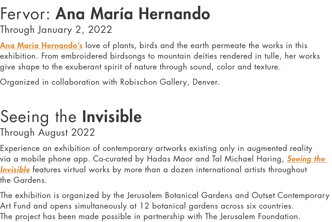 Fervor: Ana María Hernando Through January 2, 2022 Ana María Hernando s love of plants, birds and the earth permeate    