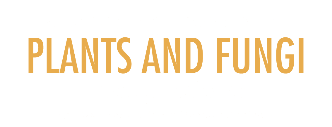 Connecting People with Plants and Fungi Through Science By Alissa Iverson, Floristic and Outreach Coordinator