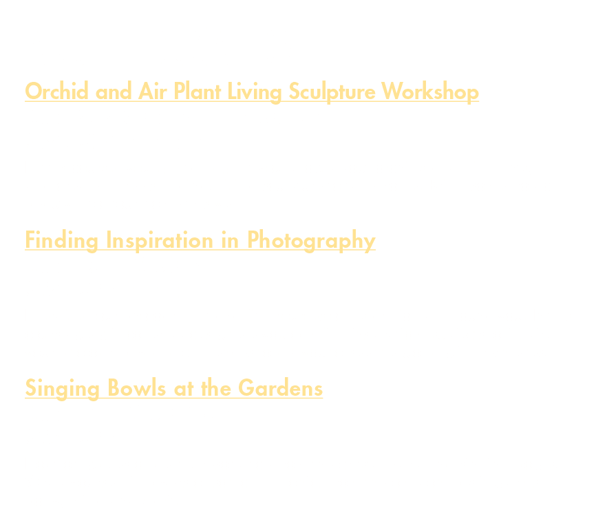 Adult Education Orchid and Air Plant Living Sculpture Workshop Dec. 9, 9:30 a.m. – 12:30 p.m. $86, $76 member In this...