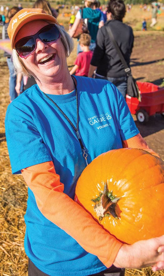 pumpkin festival & corn maze