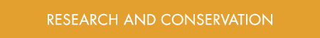 Research and Conservation