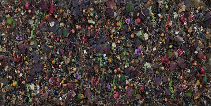 Woven is a large-scale conceptual photography project by Tanya Marcuse. Constructed still-life allover tapestry compositions influenced by medieval tapestry, the Garden of Earthly Delights by Hieronymus Bosch and Abstract Expressionism.