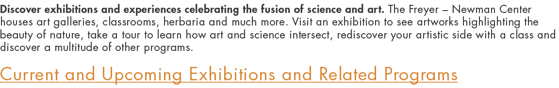 Discover exhibitions and experiences celebrating the fusion of science and art. The Freyer – Newman Center houses art...