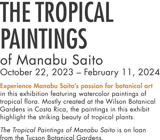The Tropical Paintings of Manabu Saito October 22, 2023 – February 11, 2024 Experience Manabu Saito’s passion for bot...