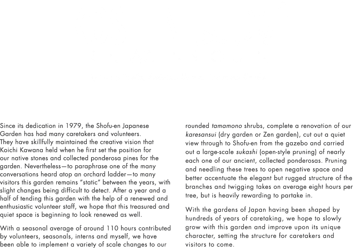 K shin 更新 Renewal in Shofu en By Henry Basile, Assistant Curator Japanese Garden Since its dedication in 1979, the Sh...