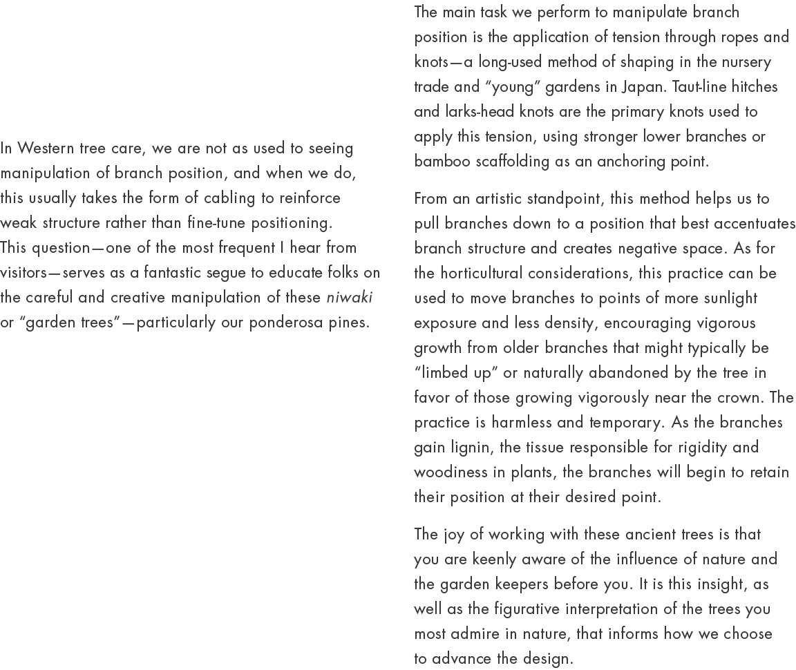 In Western tree care, we are not as used to seeing manipulation of branch position, and when we do, this usually take...