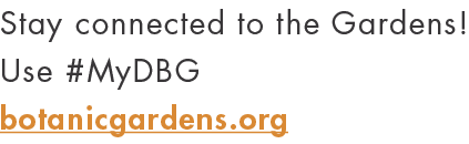 Stay connected to the Gardens  Use #MyDBG botanicgardens org