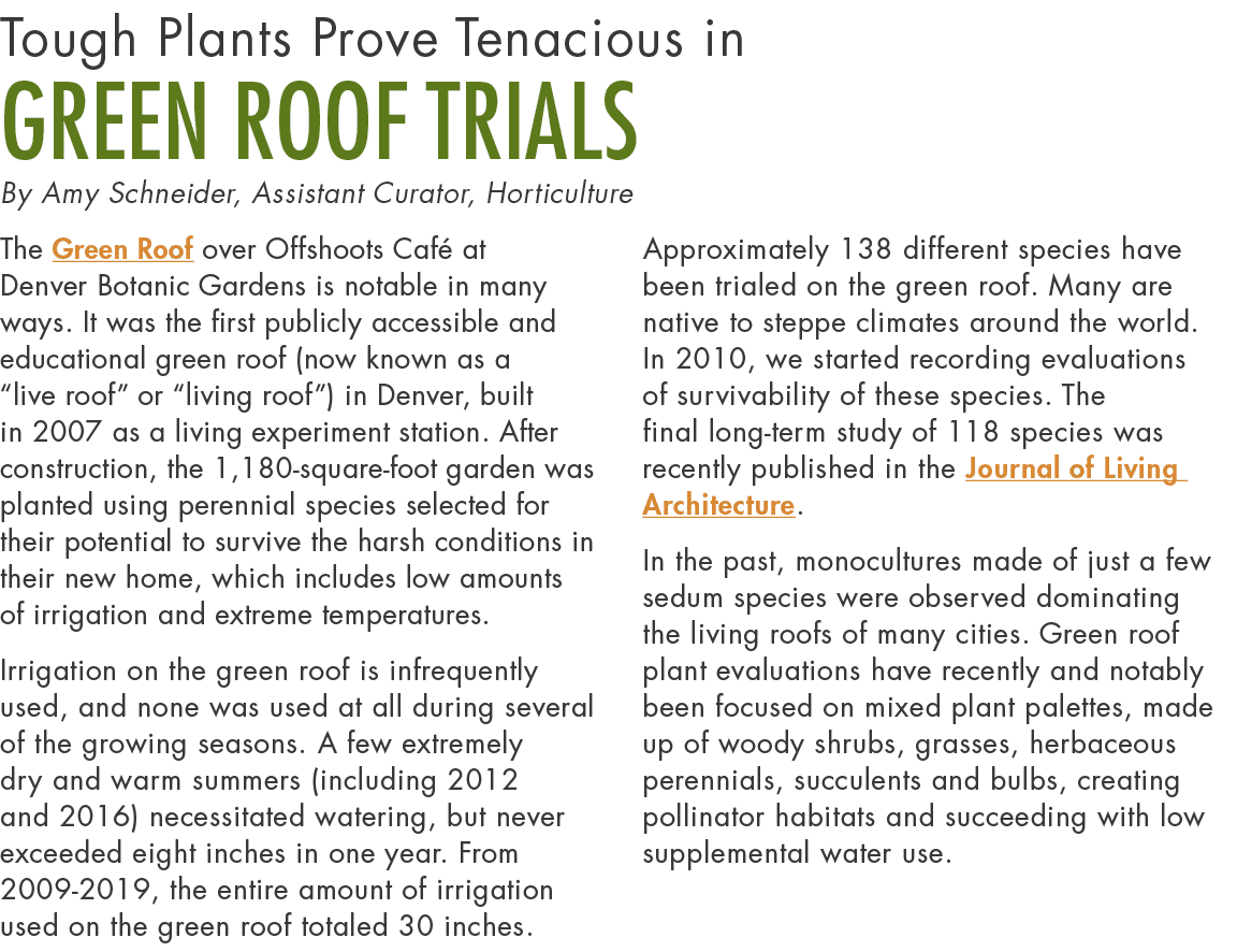 Tough Plants Prove Tenacious in Green Roof Trials By Amy Schneider, Assistant Curator, Horticulture The Green Roof ov   