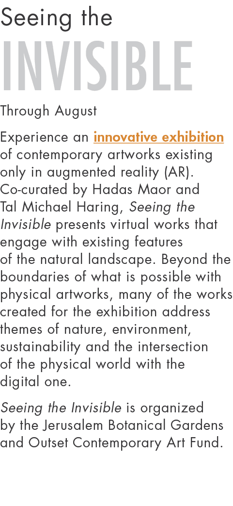 Seeing the Invisible Through August Experience an innovative exhibition of contemporary artworks existing only in aug   