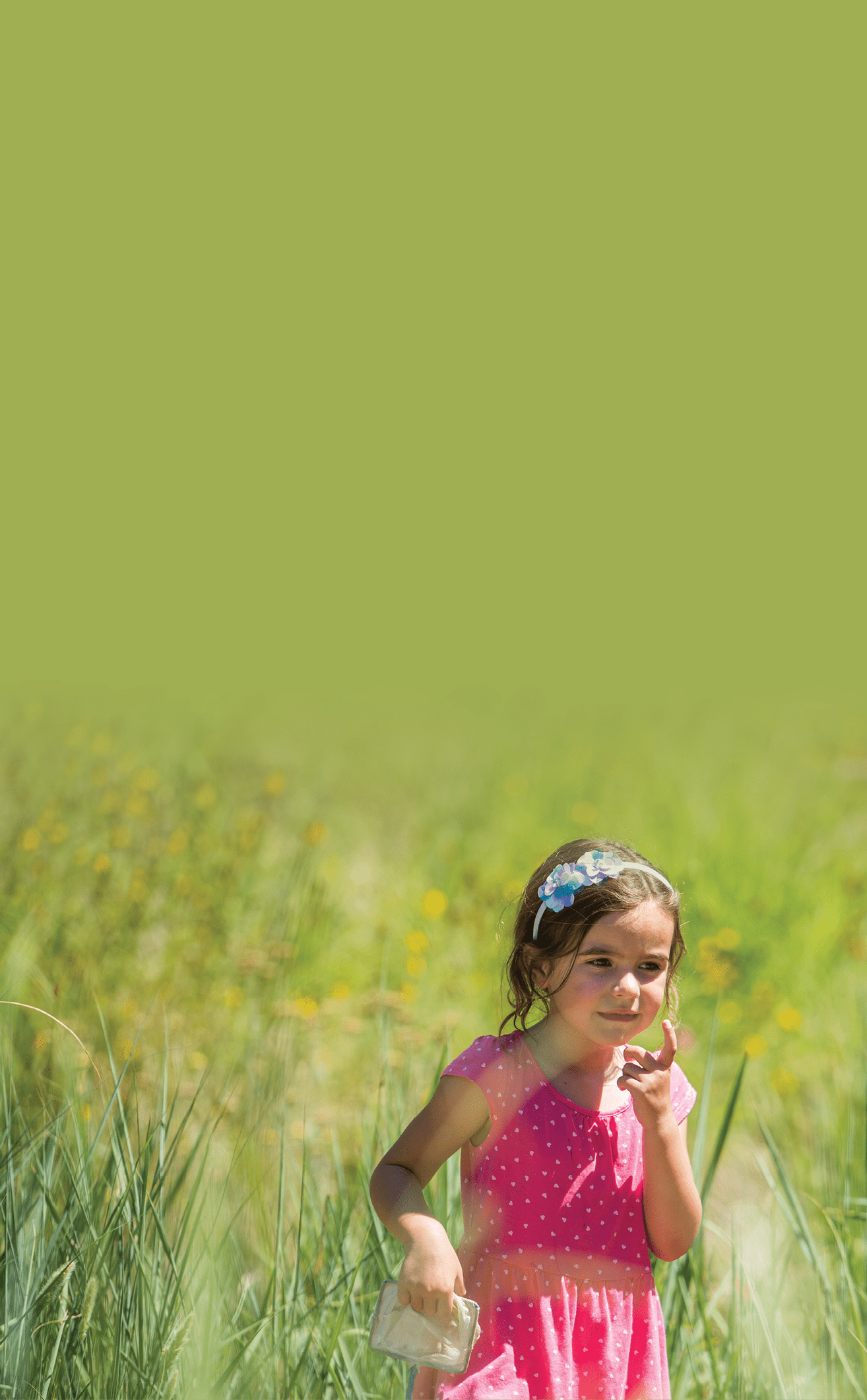 mordecai children's garden