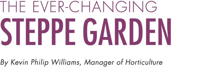 The Ever changing Steppe Garden By Kevin Philip Williams, Manager of Horticulture