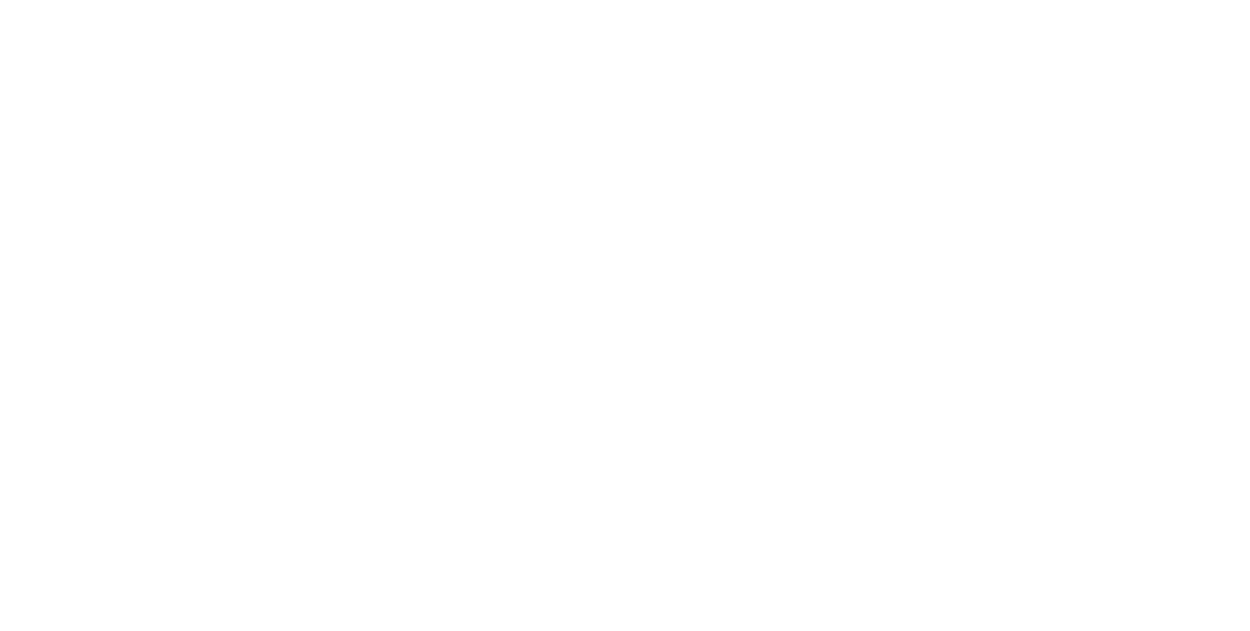  The Confluence of Art and Science By Jennifer Riley Chetwynd, Director of Marketing & Social Responsibility; Co dire...