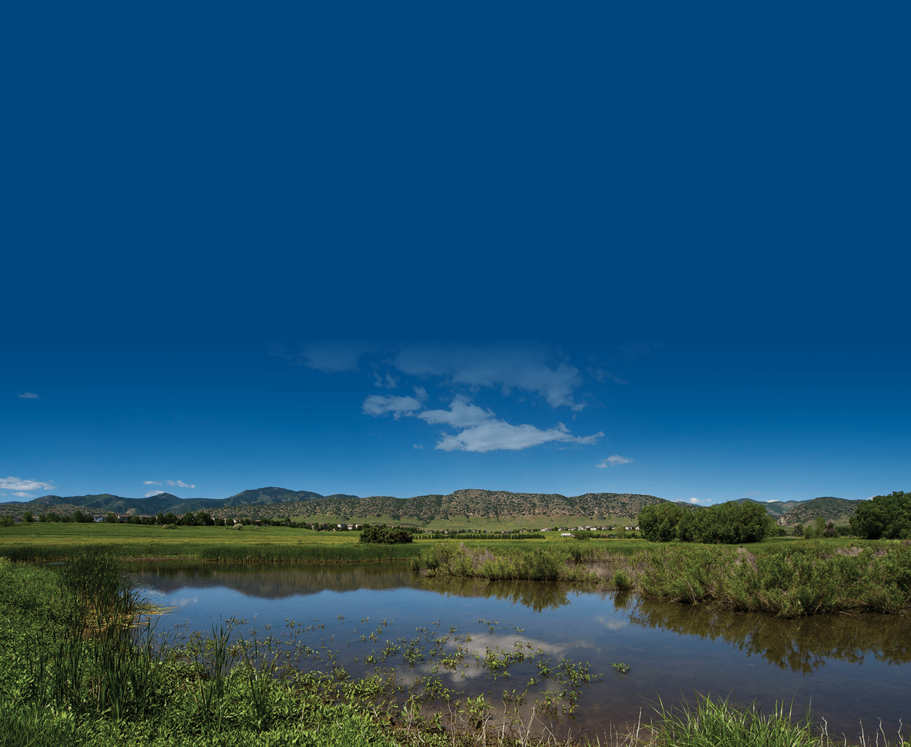 chatfield deer creek wetlands restoration