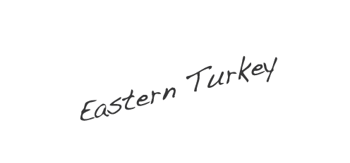 Eastern Turkey