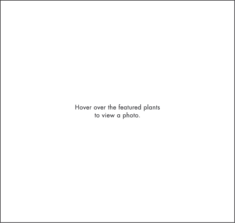 Hover over the featured plants to view a photo 