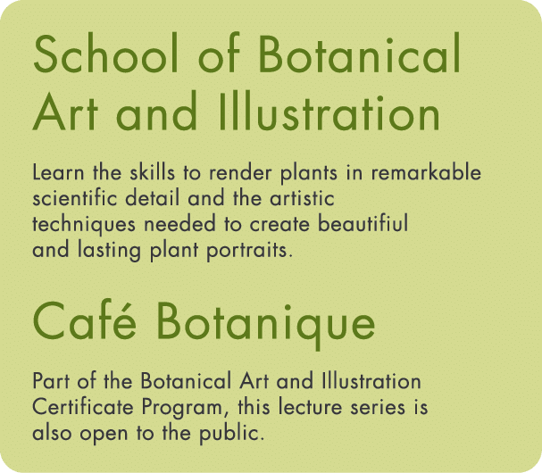School of Botanical Art and Illustration Learn the skills to render plants in remarkable scientific detail and the ar   