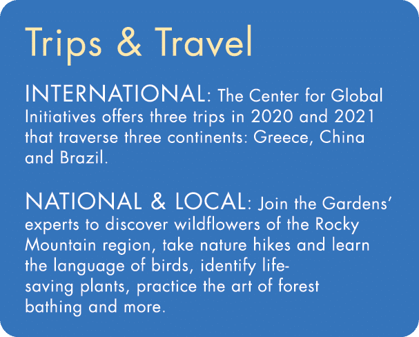 Trips & Travel International: The Center for Global Initiatives offers three trips in 2020 and 2021 that traverse thr   