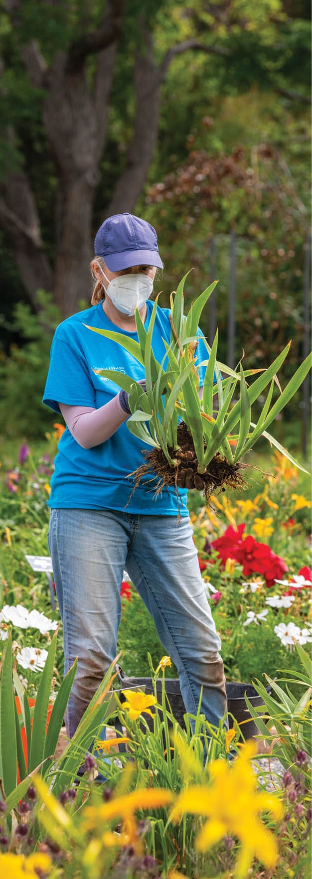 Volunteer Angela Rick, volunteering since 2011