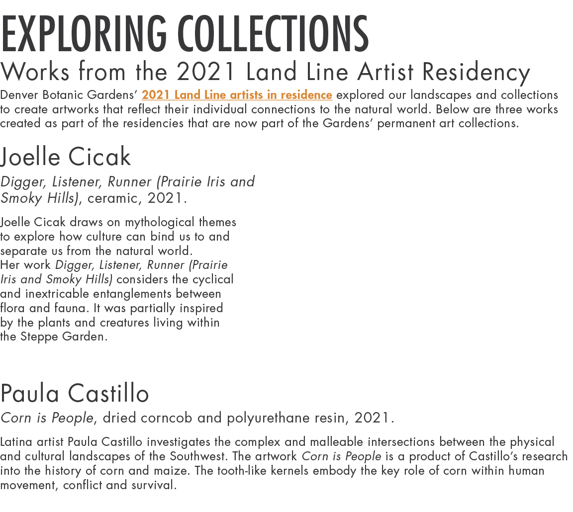 Exploring Collections Works from the 2021 Land Line Artist Residency Denver Botanic Gardens  2021 Land Line artists i   