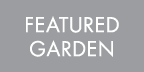 Featured Garden