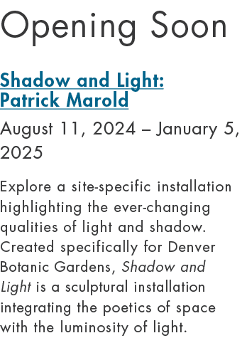 Opening Soon Shadow and Light: Patrick Marold August 11, 2024 – January 5, 2025 Explore a site specific installation ...
