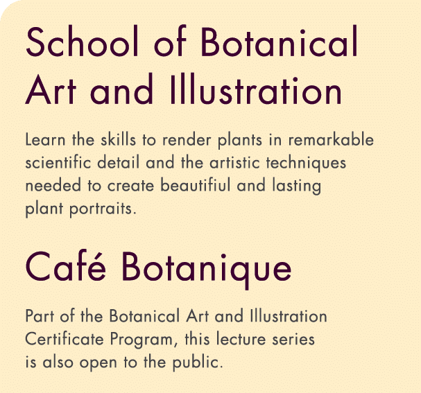School of Botanical Art and Illustration Learn the skills to render plants in remarkable scientific detail and the ar   