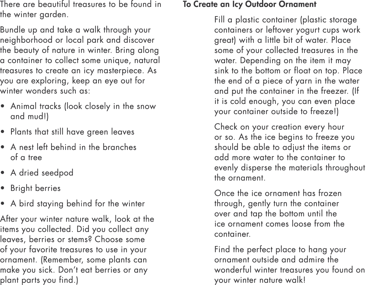 There are beautiful treasures to be found in the winter garden  Bundle up and take a walk through your neighborhood o   