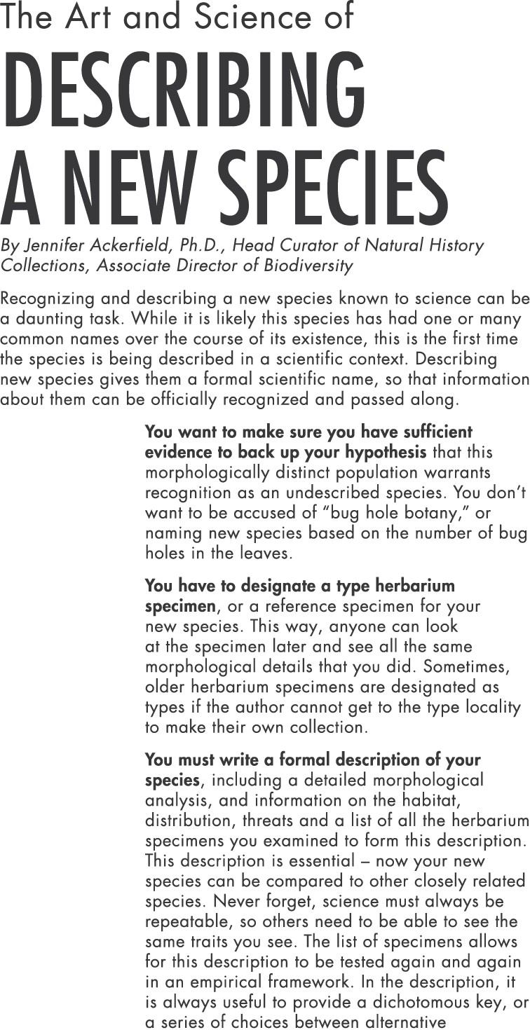 The Art and Science of Describing a New Species By Jennifer Ackerfield, Ph.D., Head Curator of Natural History Collec...