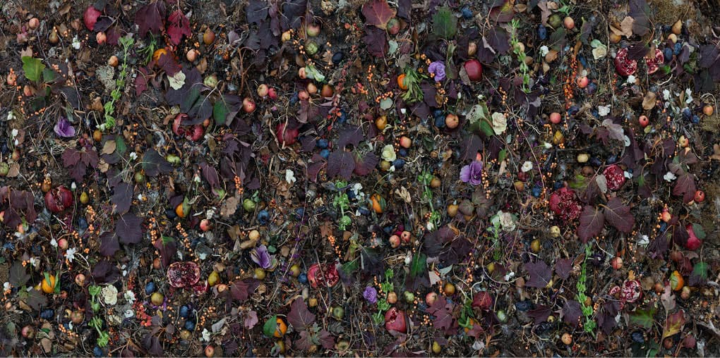 Woven is a large-scale conceptual photography project by Tanya Marcuse. Constructed still-life allover tapestry compositions influenced by medieval tapestry, the Garden of Earthly Delights by Hieronymus Bosch and Abstract Expressionism.