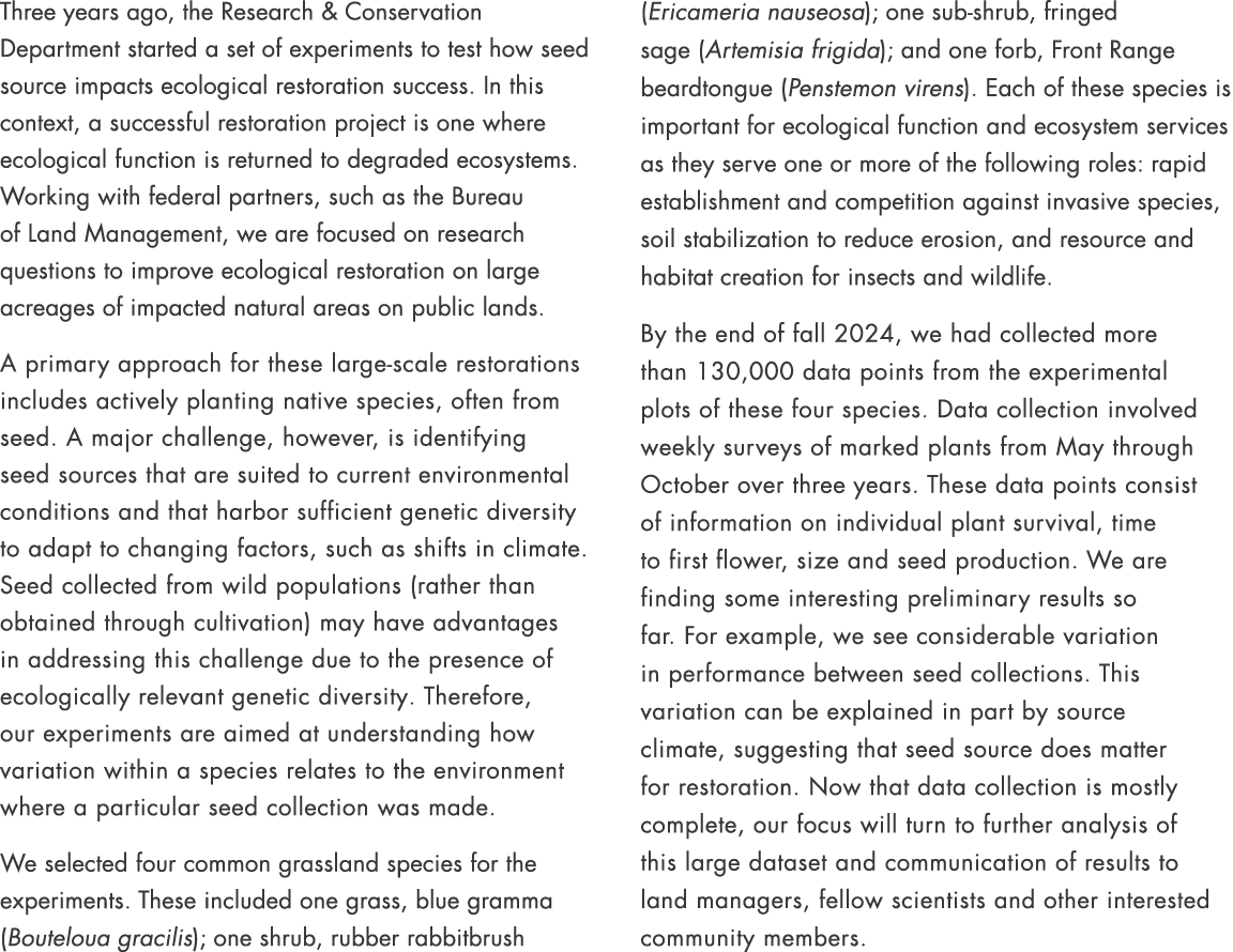 Three years ago, the Research & Conservation Department started a set of experiments to test how seed source impacts ...