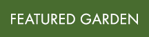 FEATURED GARDEN