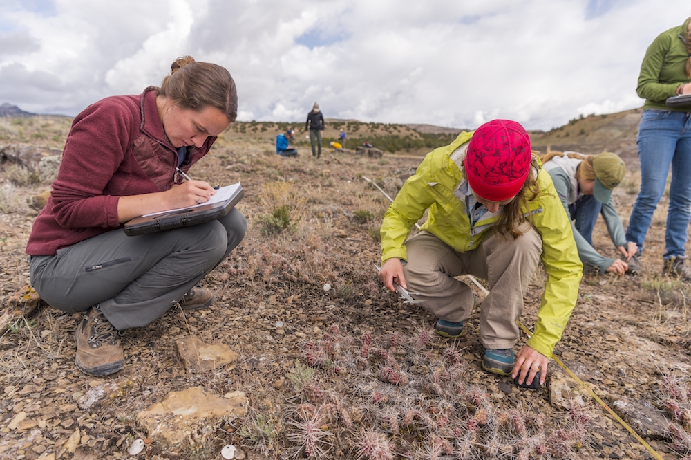 The author recording data.