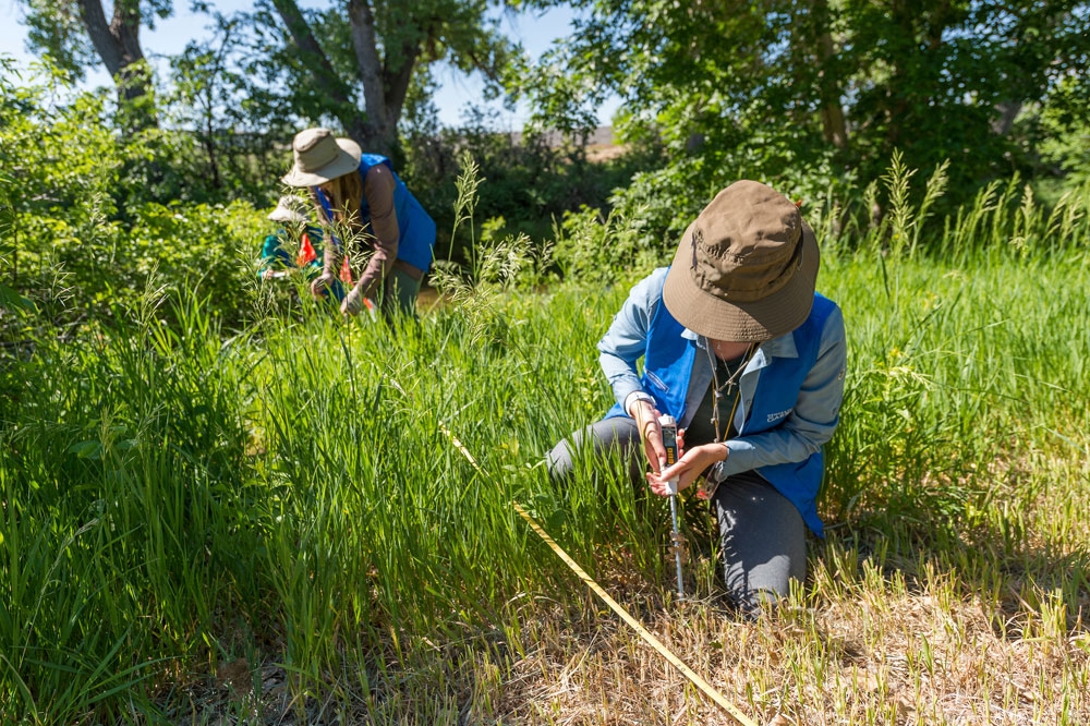 Researchers on the High Line Canal