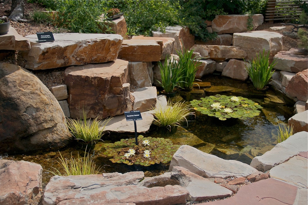 Bonsai Pavilion Pond
