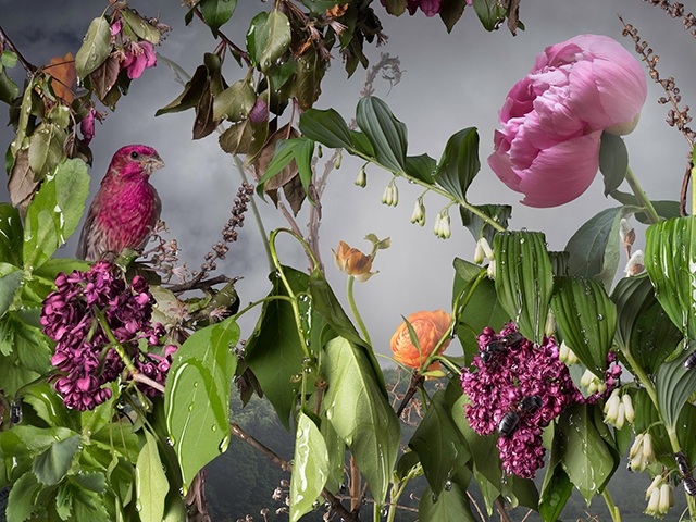 Jason DeMarte's, Corn Syrup Summer, 2015