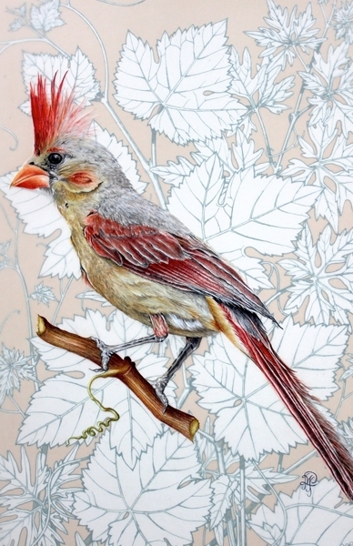 drawing of bird