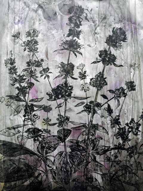 ink and charcoal drawing of plants