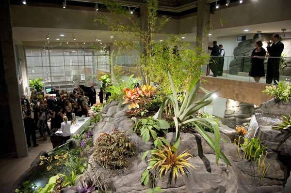 Plants on rocks in Marnie's Pavilion