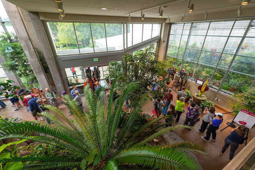 A view from the second floor of people gathering in Marnie's pavilion