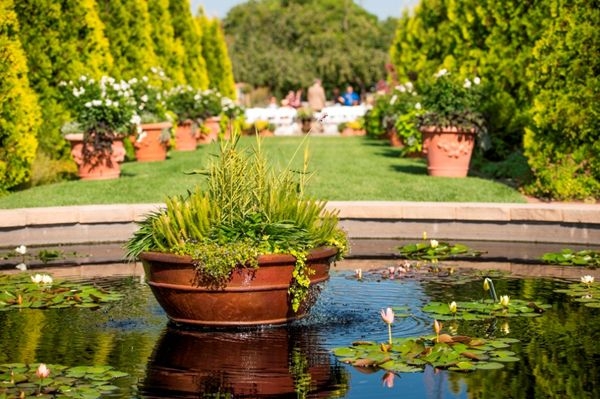 Water plants in the Romantic Gardens