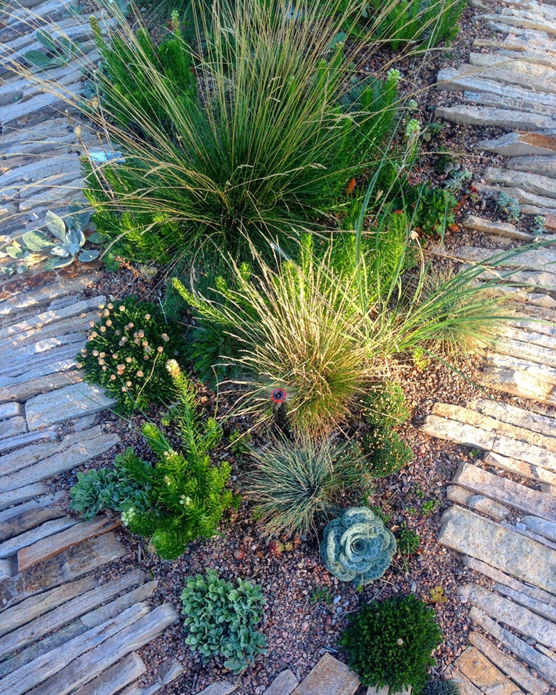 Sandstone Planter Displaying Plants from all Steppe Regions