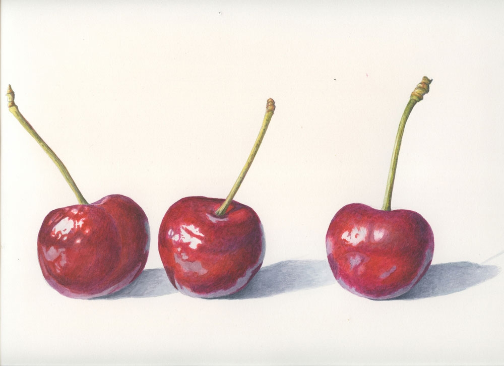 Watercolor painting of three cherries