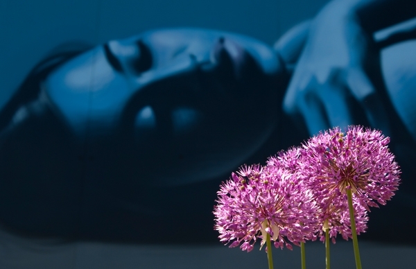 flower with wall painting backdrop