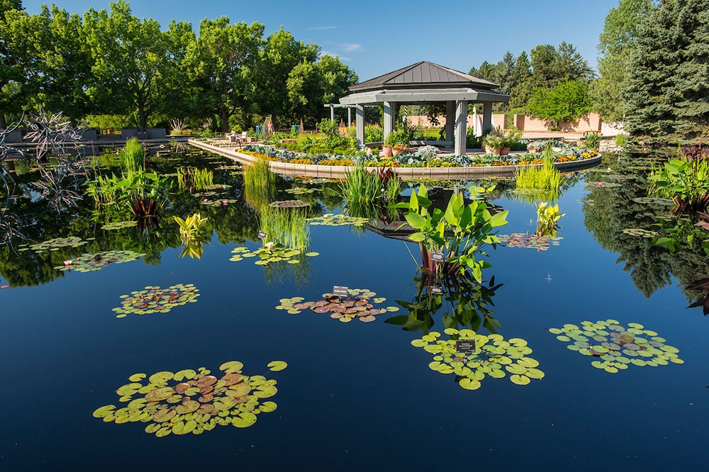 Image of the gazebo from over the pond