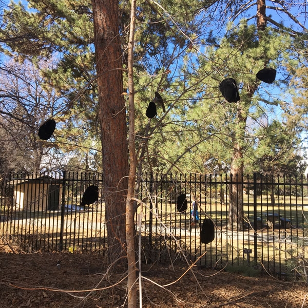 black bags on tips of branches