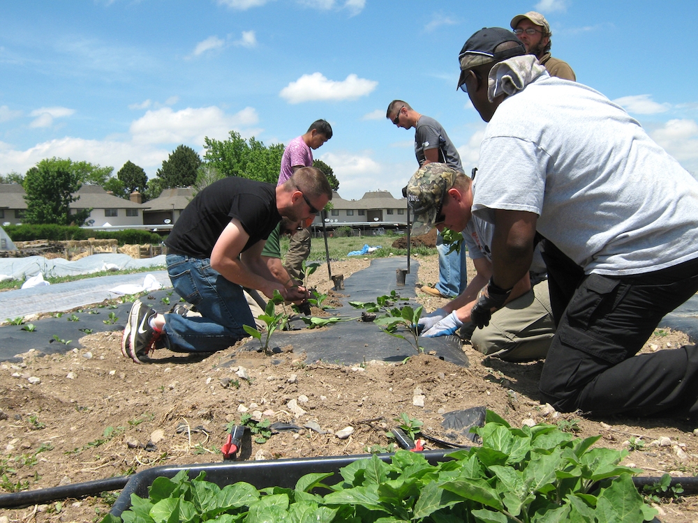 people farming