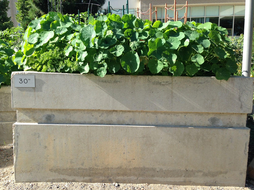 raised planter beds at craig hospital