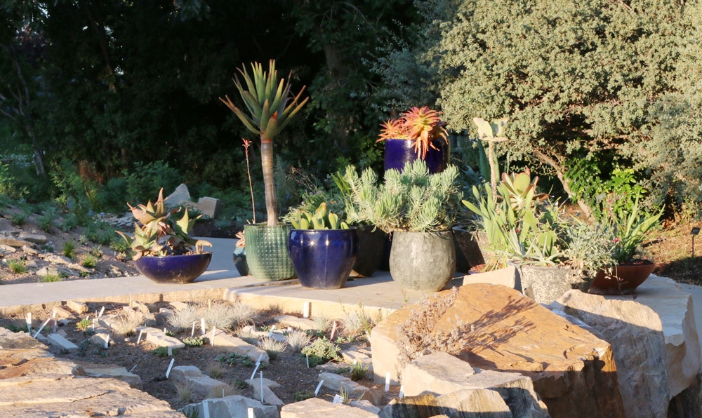 living stones and planters